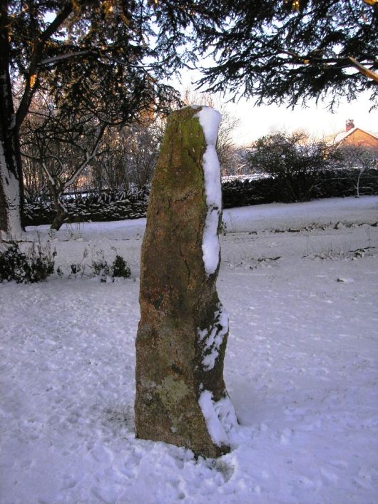 January 2010 and the snow has even got under the trees and onto the Old Man of Kendleshire. 