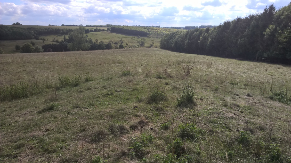 Northern end, looking south along the barrow.