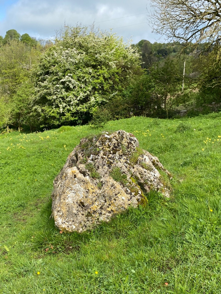 Archaeologist Amanda Chadburn writes:  An enigma - I personally think it was once a single standing stone & deliberately placed. Odd place for one though - steep slope - odd place if it was a tomb for that matter. Is it the Lang Stone? Photo also by Amanda. 