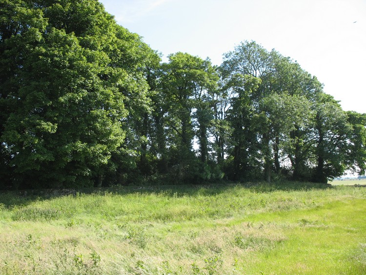 Leighterton Long Barrow