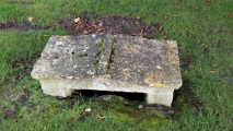 Our Lady's Well (near Stow) - PID:172599