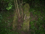 The Giant's Stone (Gloucestershire)