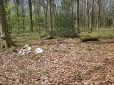 East Wood Ring Cairn - PID:271970