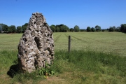 Long Stone (Minchinhampton) - PID:213246
