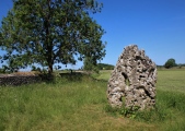 Long Stone (Minchinhampton) - PID:213243