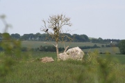 Hoar Stone at Duntisbourne - PID:77506