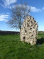 Long Stone (Minchinhampton) - PID:163384