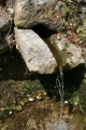 St Tibby's Well - PID:79703