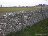 Long Stone (Minchinhampton) - PID:171489