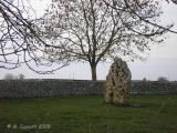 Long Stone (Minchinhampton) - PID:171492