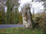 Long Stone, Staunton - PID:171487