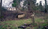 Beaudesert Park Standing Stone - PID:269173