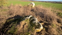 Hoar Stone at Duntisbourne - PID:267892