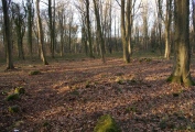 East Wood Ring Cairn - PID:204987