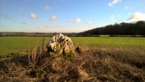 Hoar Stone at Duntisbourne - PID:267900