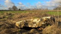 Hoar Stone at Duntisbourne - PID:267891