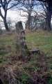 Beaudesert Park Standing Stone - PID:269171