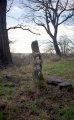 Beaudesert Park Standing Stone - PID:269172