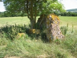 Wick Burial Chamber (Gloucestershire) - PID:59500