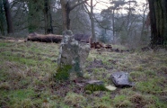 Beaudesert Park Standing Stone - PID:269169