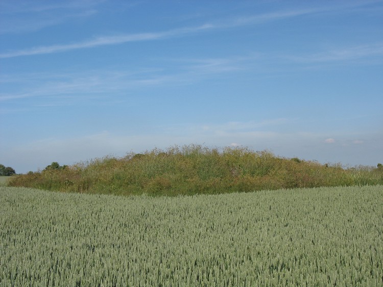 Upper Kilcott Round Barrow