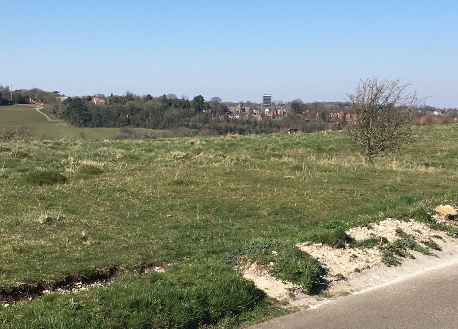 This is - I think - one of the two central group of Anglo-Saxon shown on the map. It is circular and has a depression in the top. It's right by the road. I could only spot one barrow here. I really struggled to see any of the Iron Age field boundaries.