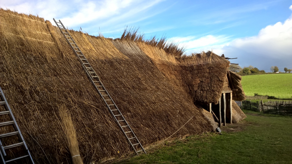 Visited in October 2020 when the neolithic longhouse was still under construction.
Highlight of the day was bumping into Simon Roper working just around the corner caulking the wooden end of the house. Stopped for a chat (not in Anglo Saxon sadly), a genuinely nice guy.