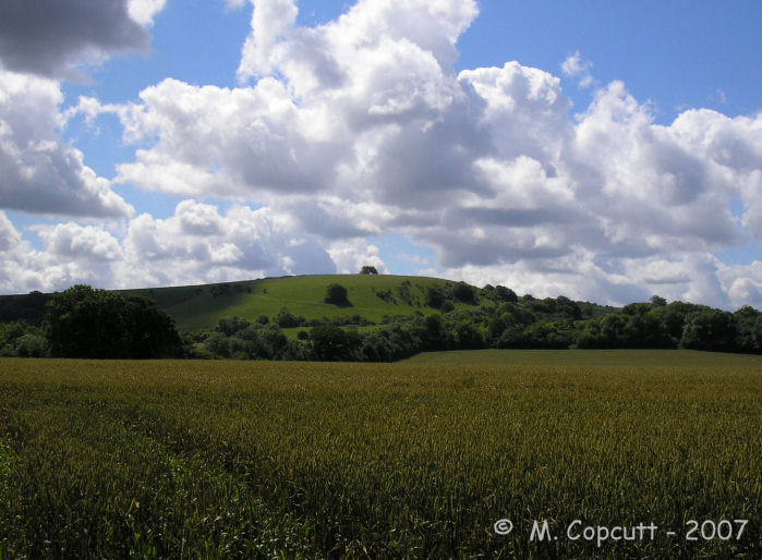 Ladle Hill seen here from the north, near Sydmonton. 
