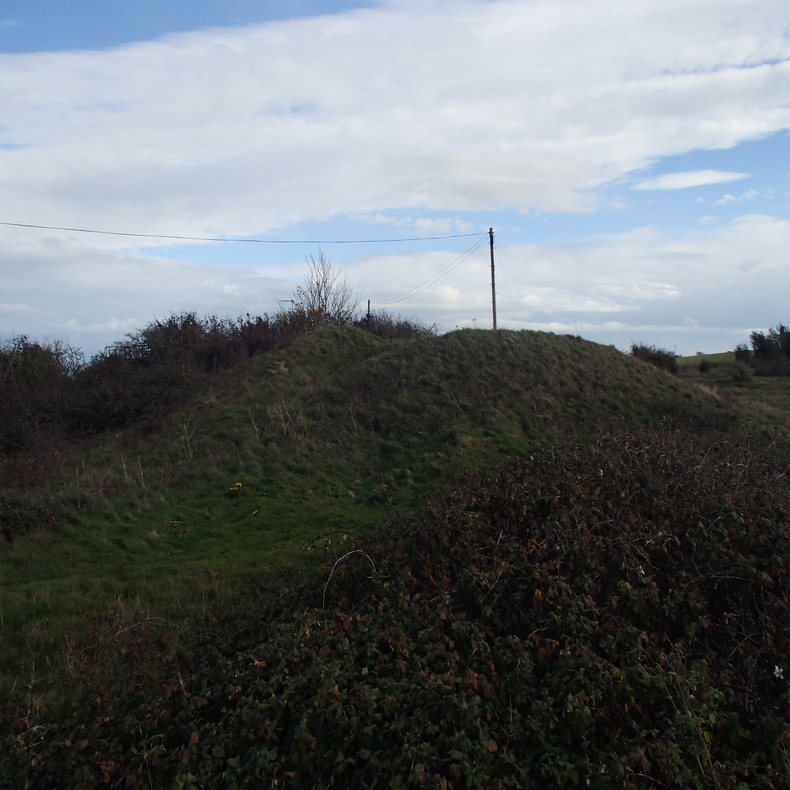 Arreton Downs