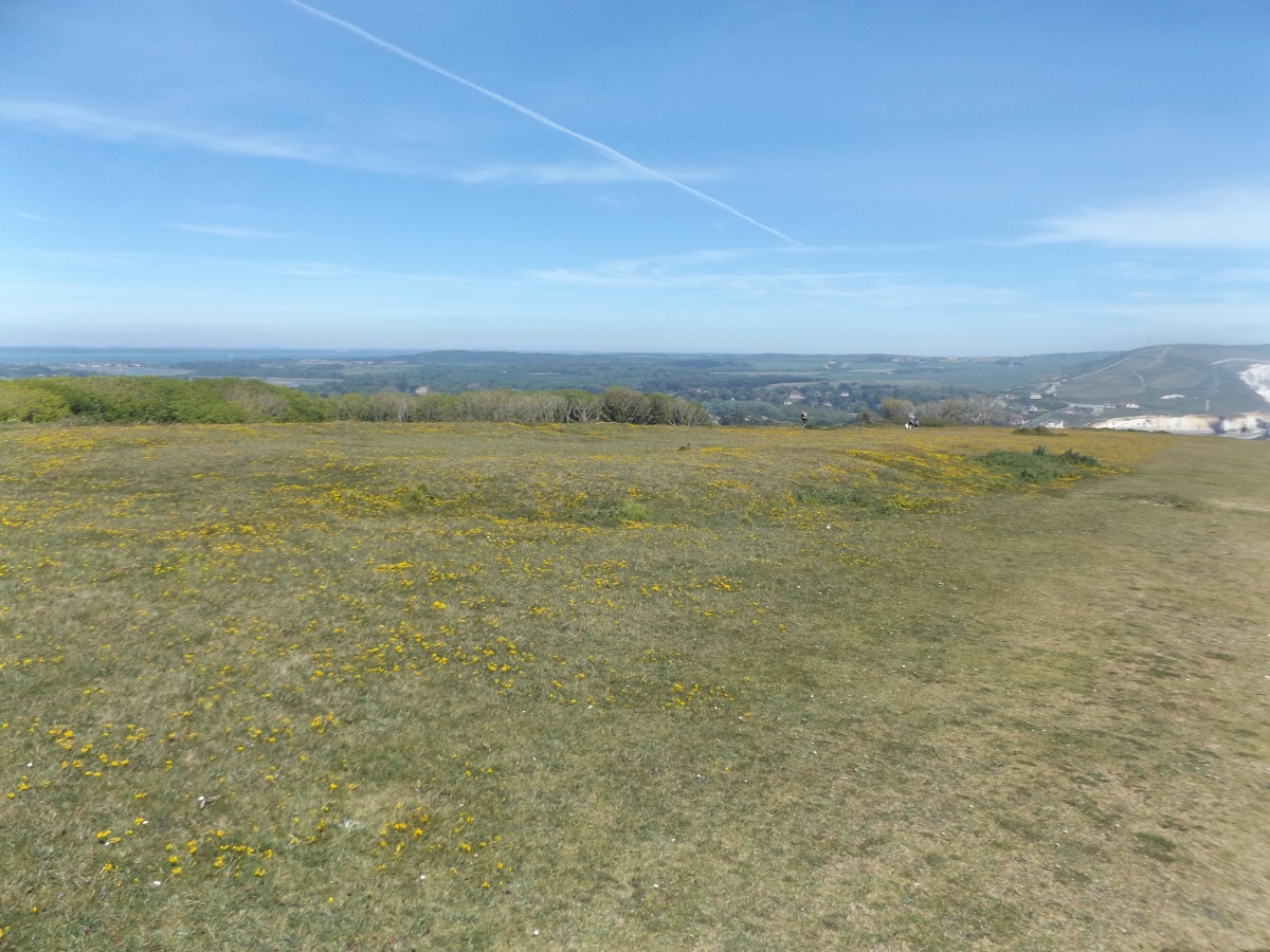 Long Mortuary Enclosure, 800mtr West of Freshwater Bay House