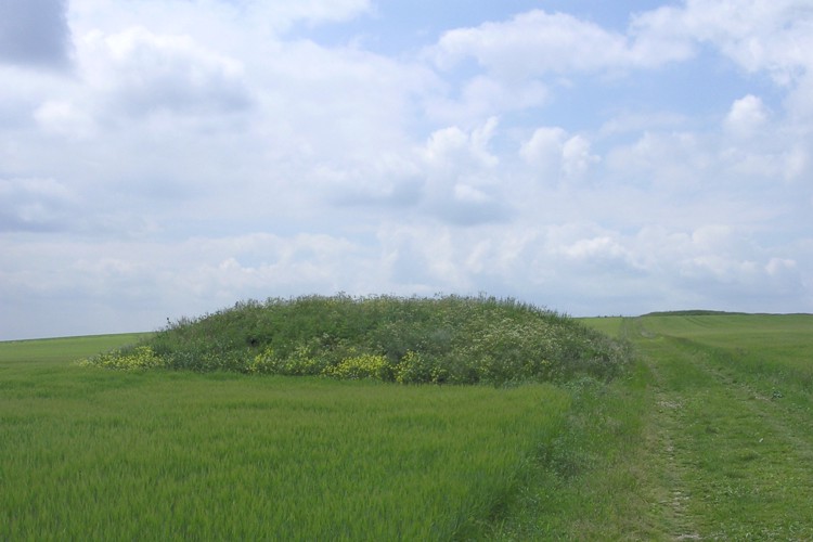 Looking west at the Ladle Hill bell barrow beside the Wayfarer's Walk path on the way up to the hillfort. This scheduled barrow is nearly 20m in diameter and up to 1.6m high. Apparently there was once a saucer barrow on the other side of this barrow, but no visible traces of it remain.