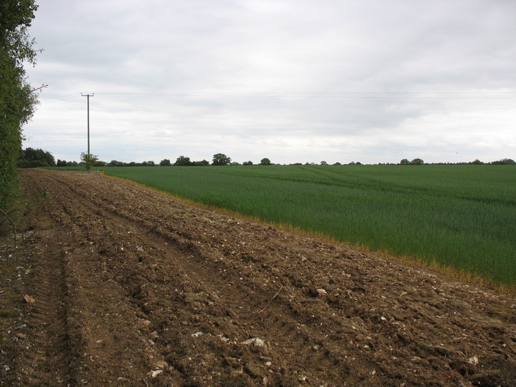 Larks Barrow