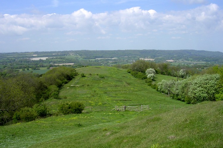 May 2005. Looking down onto the Little Butser spur. The overgrown pseudo-Iron Age earthworks are visible in the centre of the picture, in the form of a square enclosure with bank and external ditch. The flecks of yellow are cowslips, which are thriving on this site.