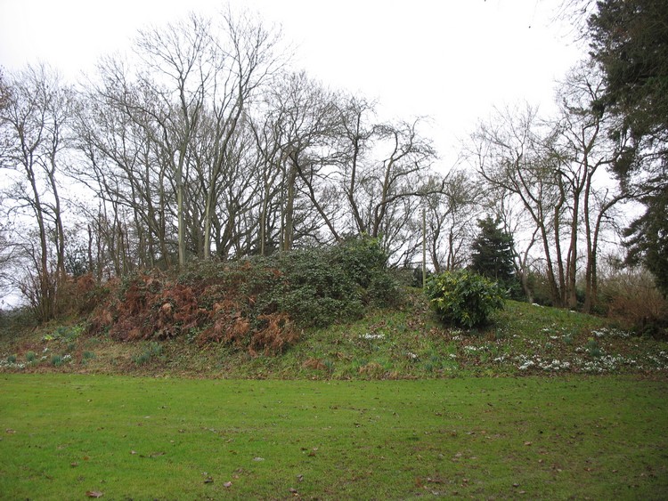 A Bronze Age bowl barrow in Mapledurwell - view from the North (photo taken on February 2011).
