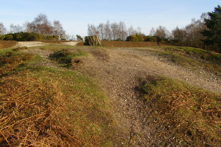 View east across the top of the barrow mound, with Rockford Common beyond. The interior of the common's plateau was removed by commercial gravel works during the middle of the 20th century. A number of barrows and other prehistoric sites were destroyed by the gravel extraction.