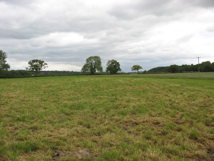 Peak House Bowl Barrow