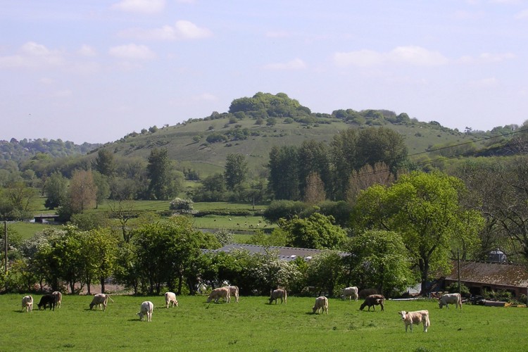 St Catherine's Hill (Hampshire)