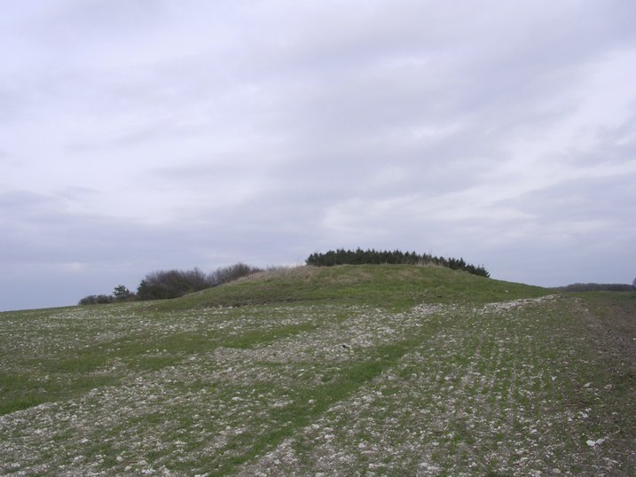 Telegraph Hill Bowl Barrow