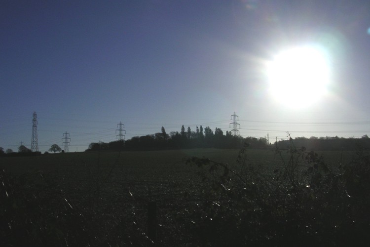 January 2005. Early morning view of Toothill Camp from Hoe Lane to the north. The area is busy with high-voltage electricity lines. The mature redwoods growing on the site are clearly visible, but its not possible to get close enough to see the defences.