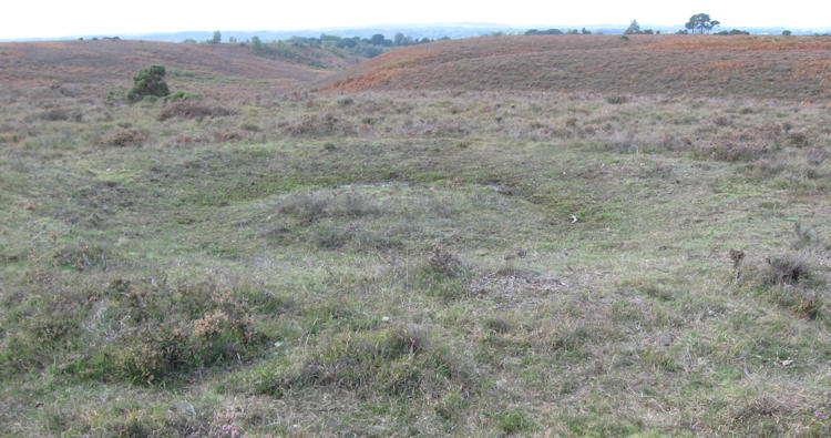 One of the bowl barrows on Ibsley Common.
SU 17621 10489
50.893620 N, 1.7508334 W.