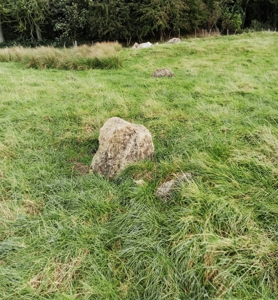 There are smaller stones further down the sloping field.