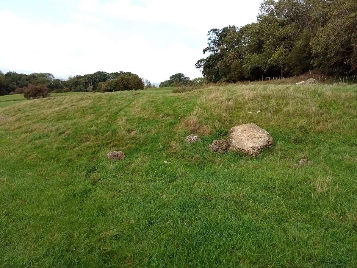 This photo shows the lumps and bumps of the field around the stones, an earthwork you would think but no clear form to it.