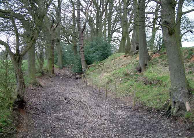 The southern bank and ditch of Berry Mound hillfort. SP095778.