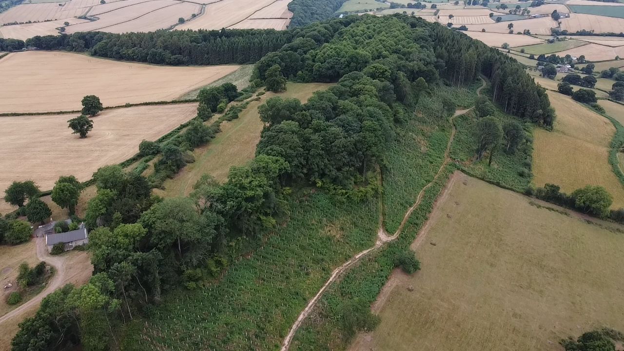 Capler Camp or Woldbury Camp looking west. The steep northern slope to the right provided natural protection while the moderate slopes facing south had two banks and ditches for defence. 