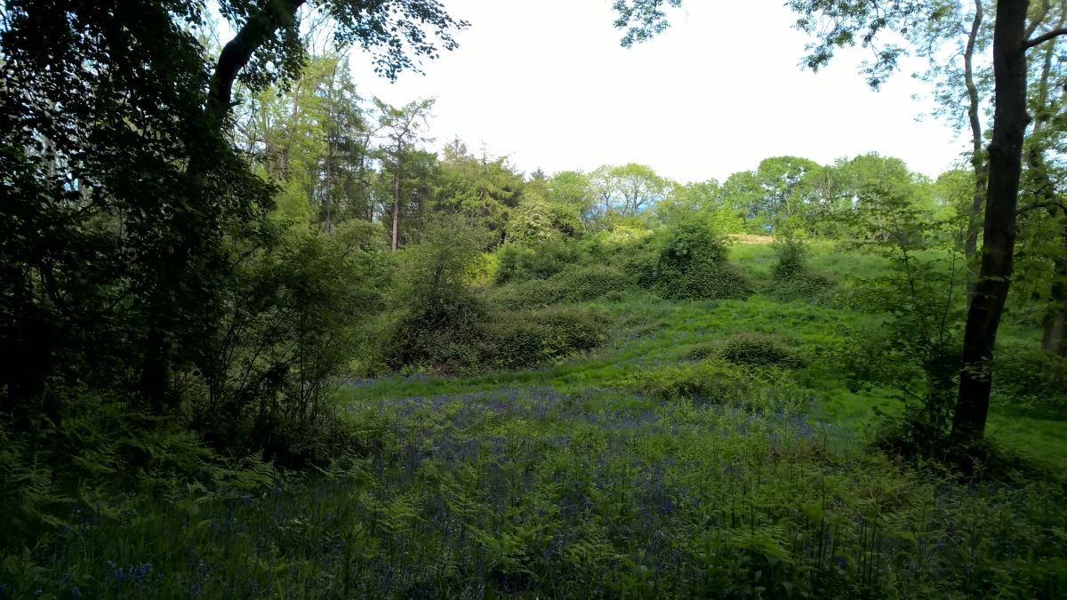 Eastern side looking east at more earthworks and the second half of the hillfort.