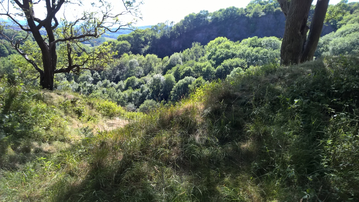 Southernmost part of the site, the eastern side of the ramparts have been left overhanging the edge of a steep drop to the old quarry.