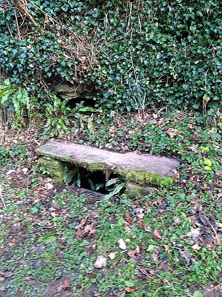 St. Clodock's Well