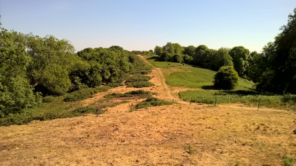 Western side looking south at Hollybush Hill. The whole site is like two hills side by side, joined at the northern side.