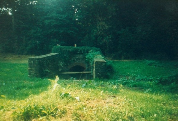 Higgin's Well