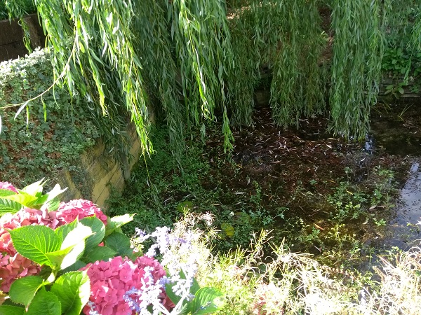 Holy Well (Blakemere)